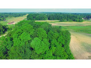 Noble County, Indiana farmland - LAND AUCTION - 54+/- ACRES OFFERED IN 2 TRACTS IN NOBLE COUNTY, INDIANA